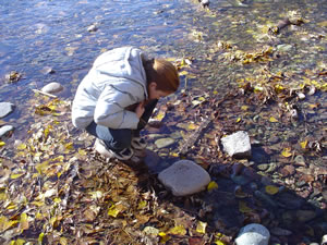 No Child Left Indoors